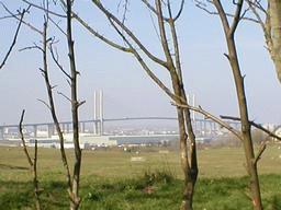QE2 (Queen Elizabeth II) Bridge, Dartford (photography: Andrew Reeves)